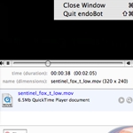 download helper